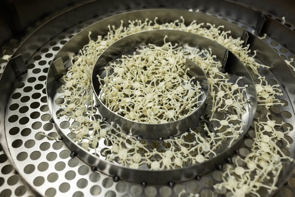 Small manufactured plastic injection molded pieces are organized in a spiral sorting mechanism.