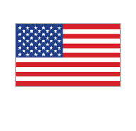American Flag Icon