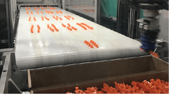 A number of orange clips used in seat assembly make their way down a conveyer belt